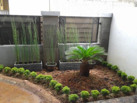 tanaman hias halaman depan bambu air